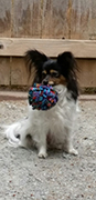 Lucy w/Ball